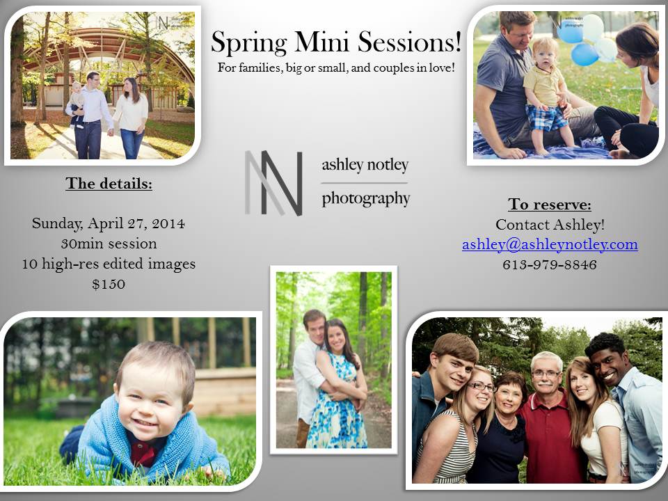 spring mini session in Ottawa