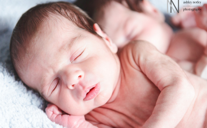 ottawa twin boys newborn session