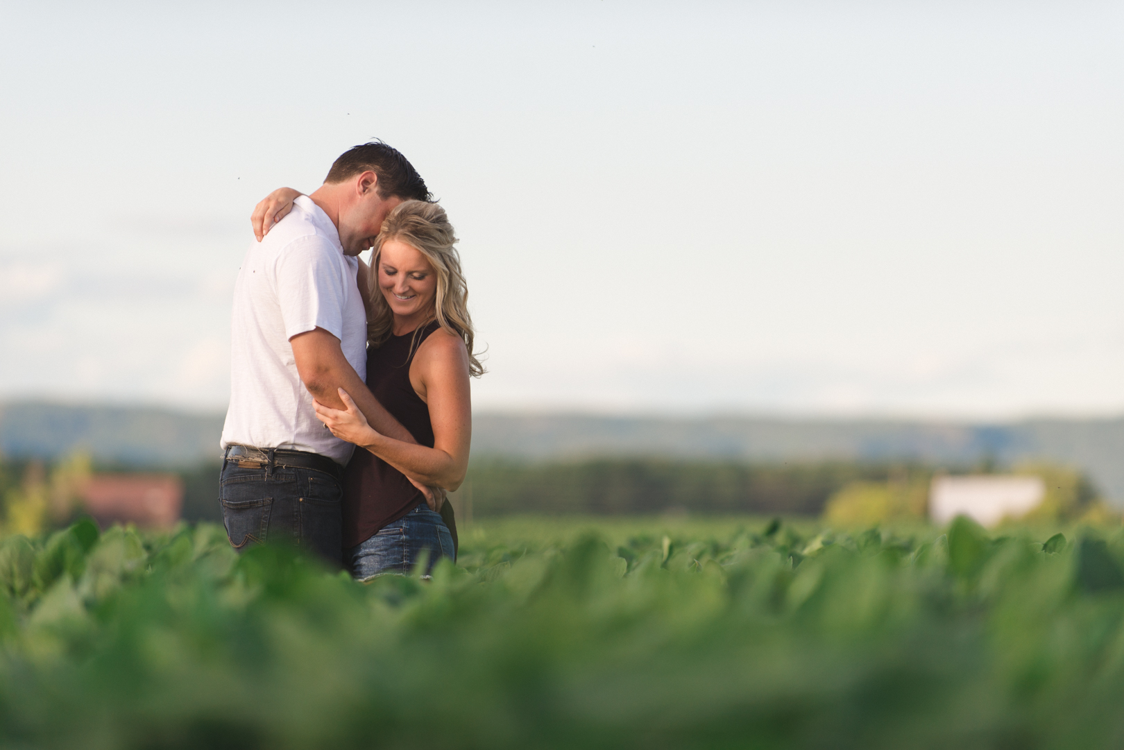 engaged couple hugging in soy bean field on a farm