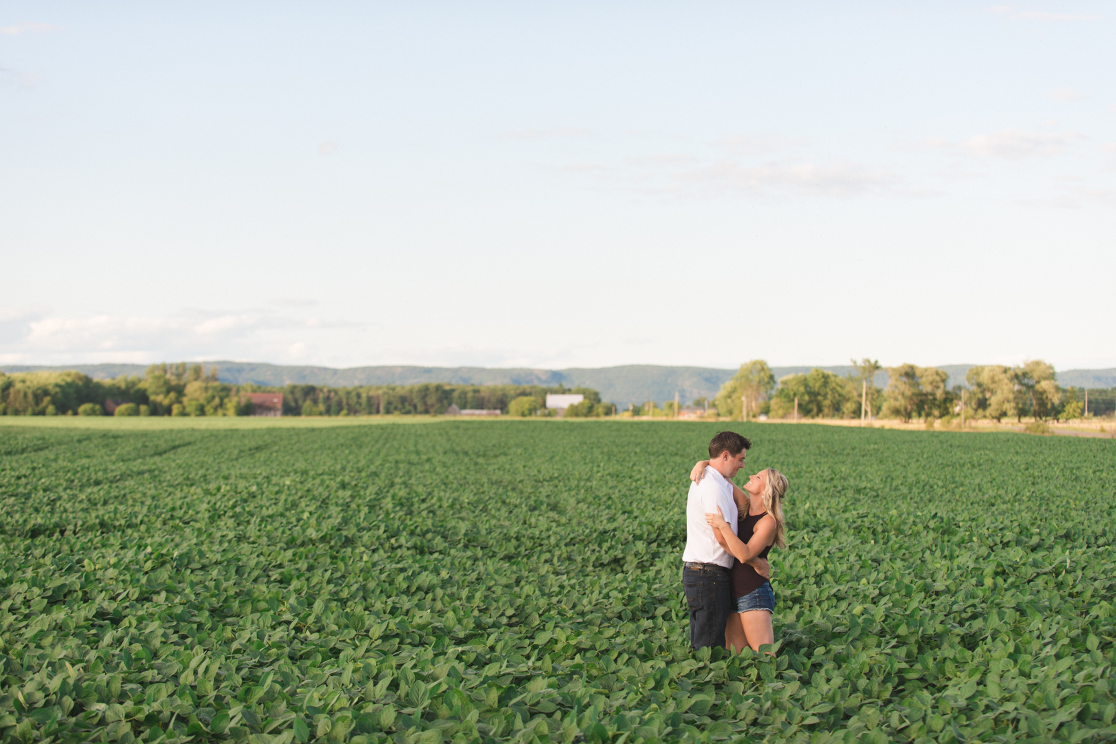 engaged couple hugging in soy bean field on a farm