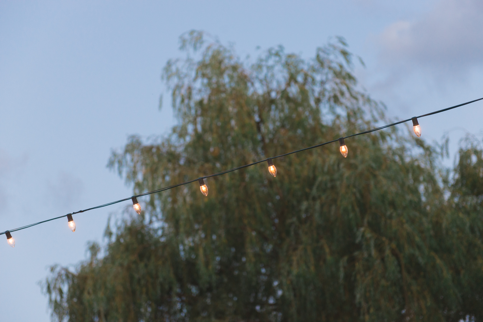 string lights at wedding reception