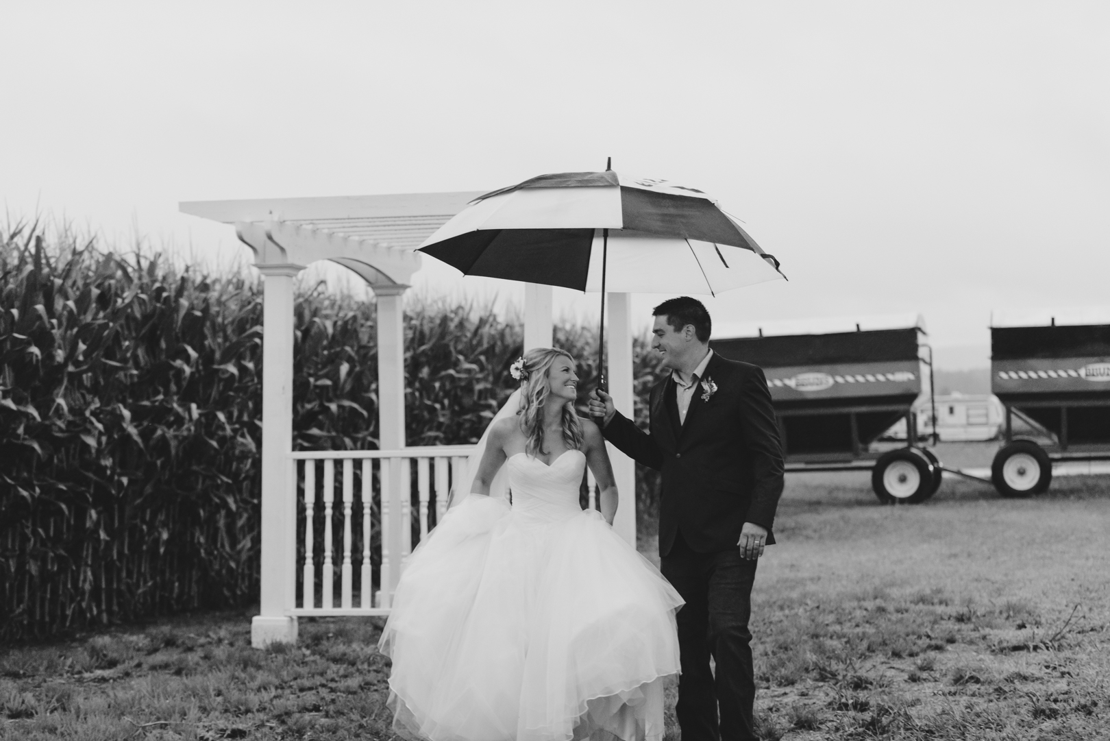 bride and groom walking underneath umbrella in front of corn fields