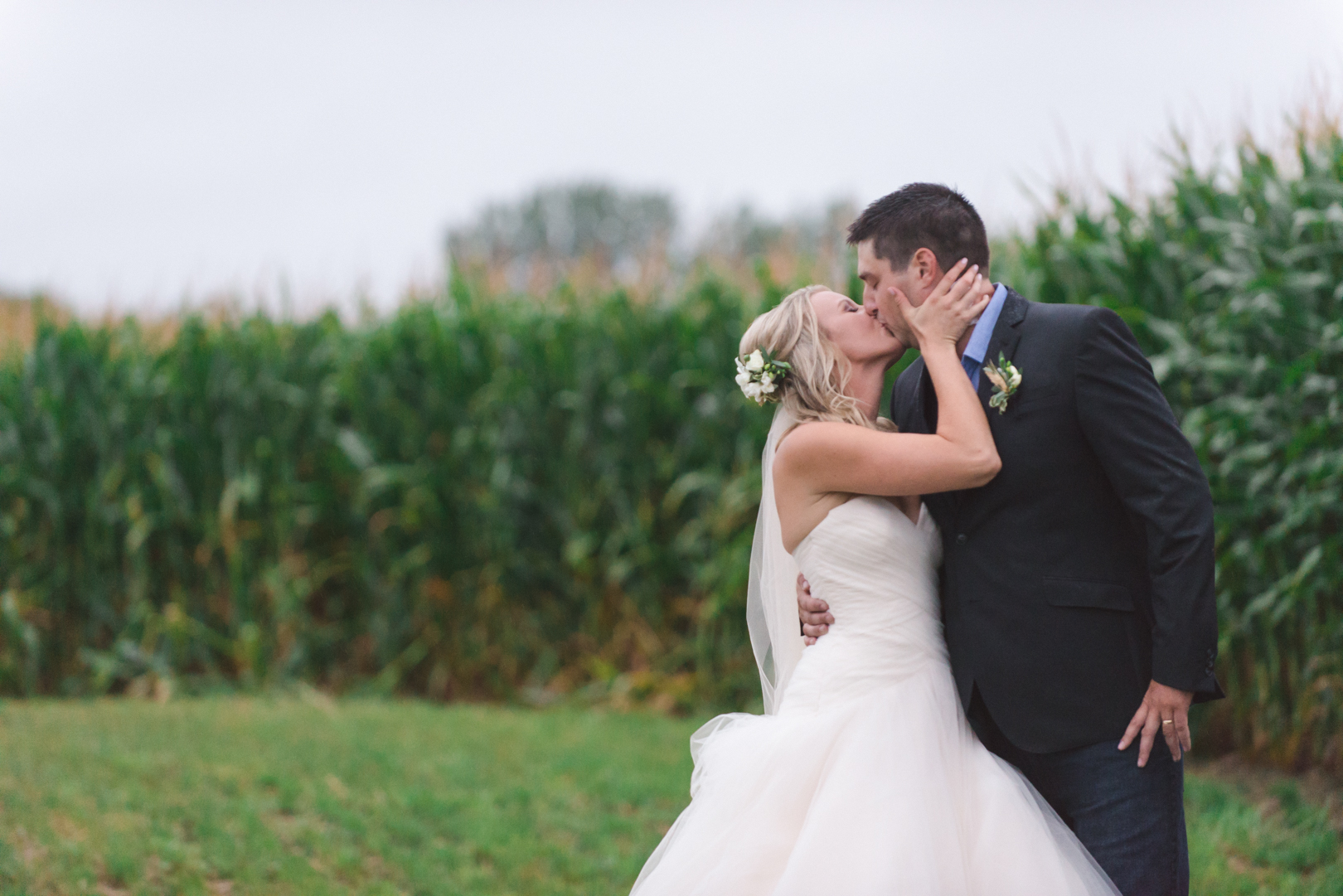 bride and groom kissing in front of corn fields