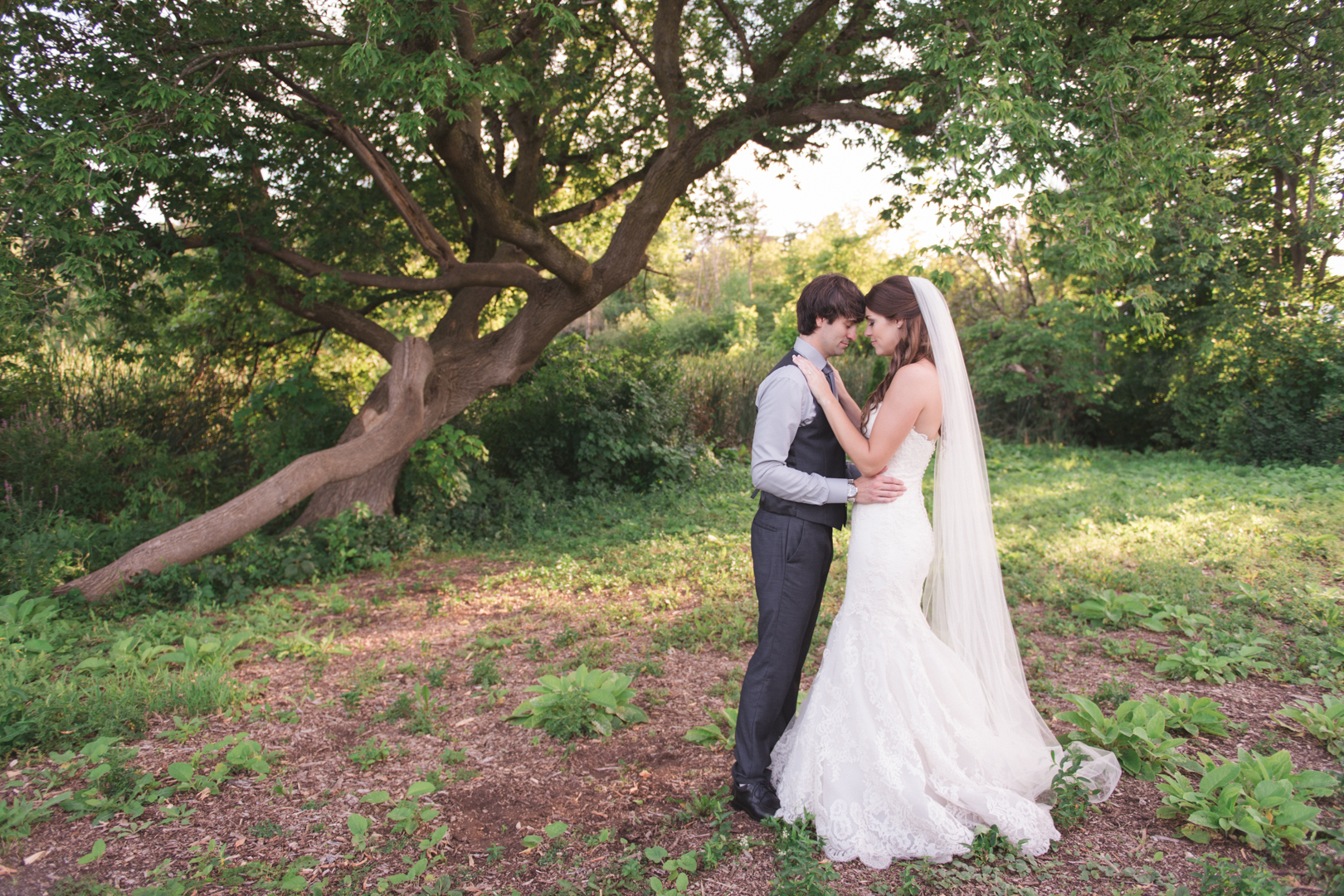 bride and groom getting close underneath tree at the arboretum