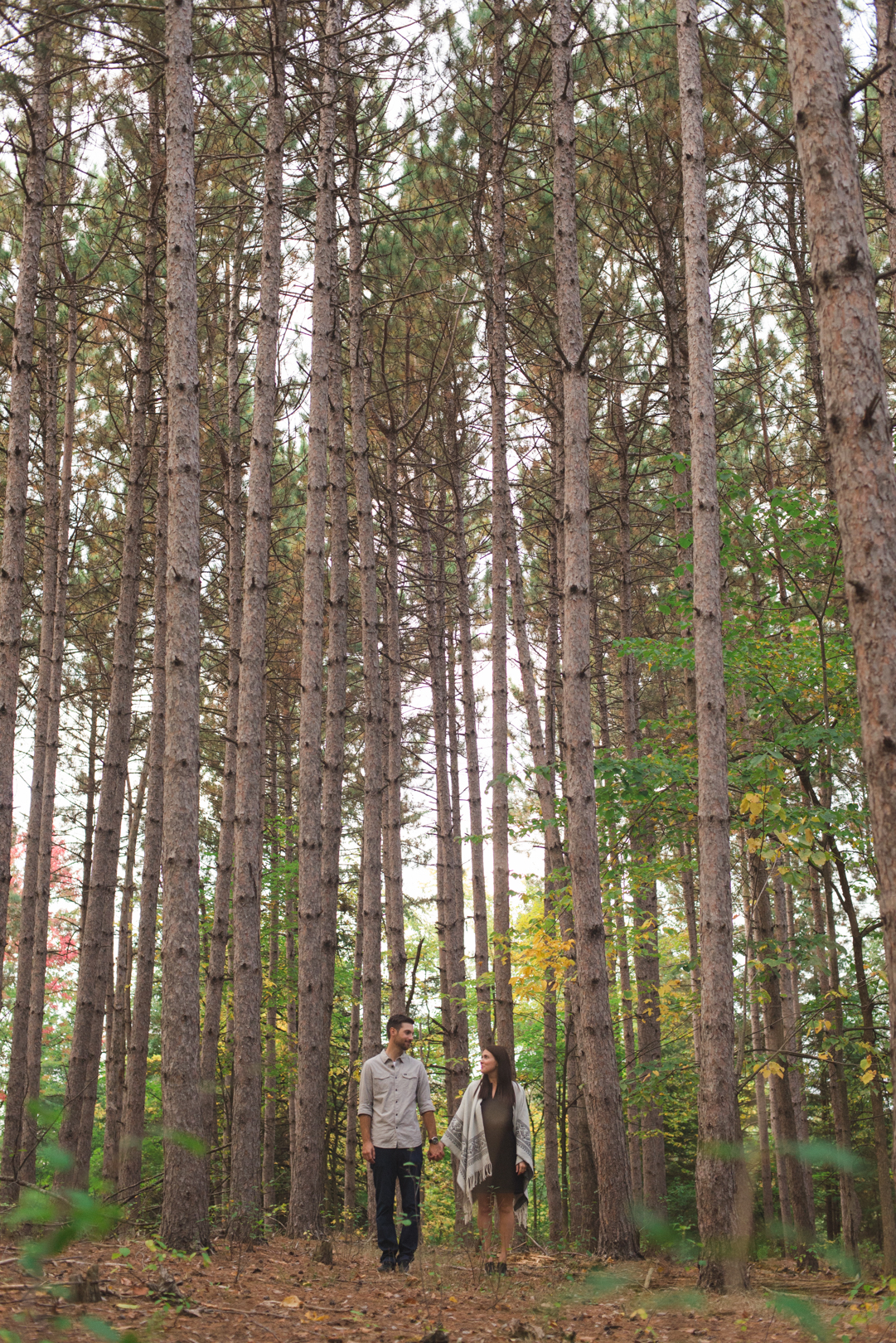 engaged couple standing among tall trees in the forrest