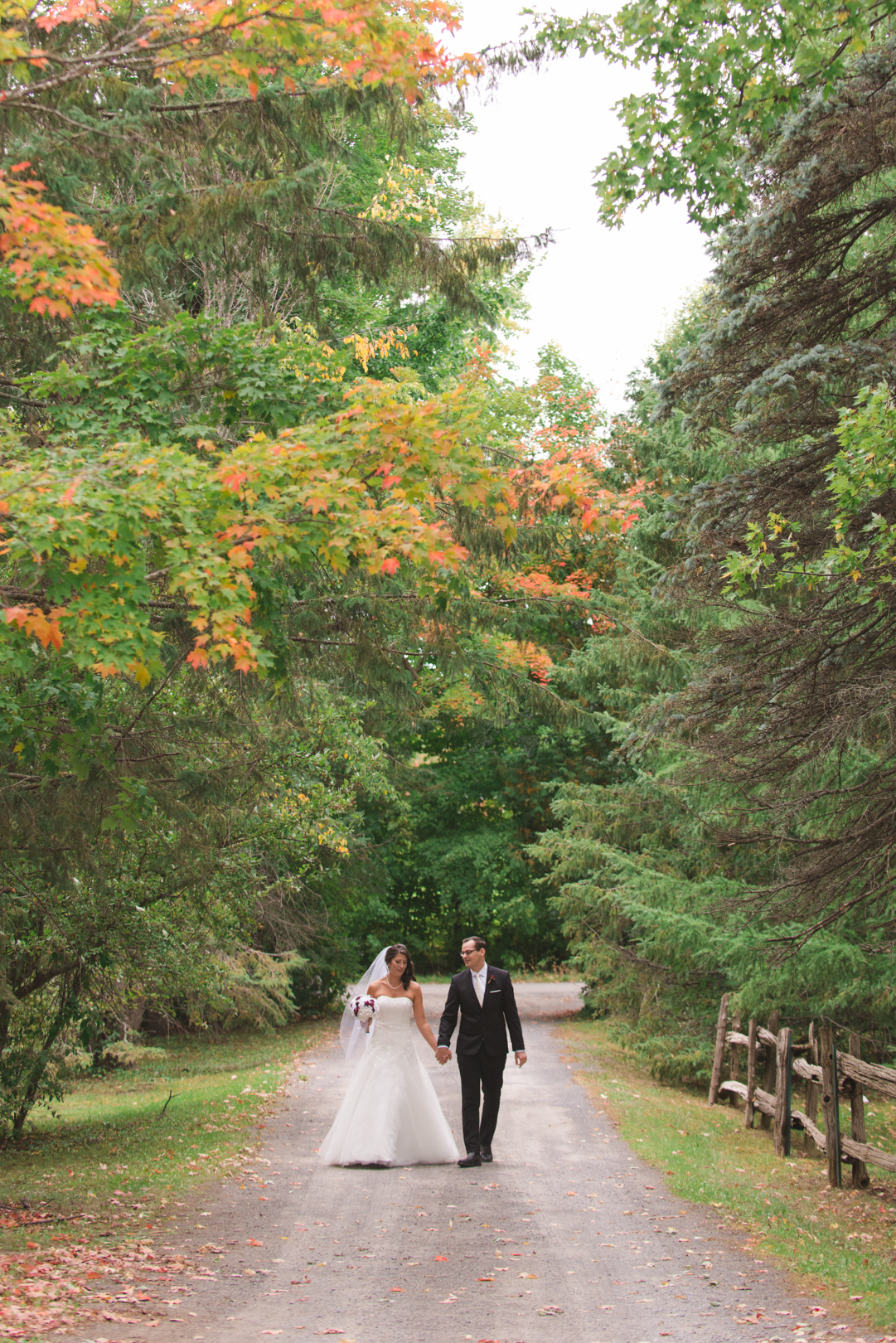 couple walking along path underneath a maple tree on a fall day