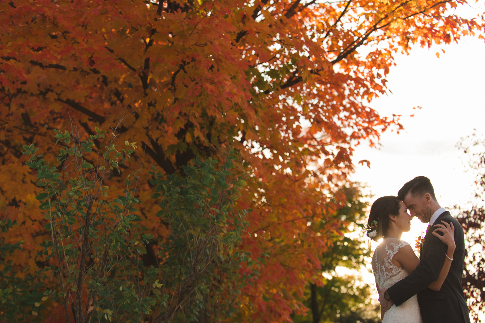 bride and groom cuddling at sunset by vibrant orange tree