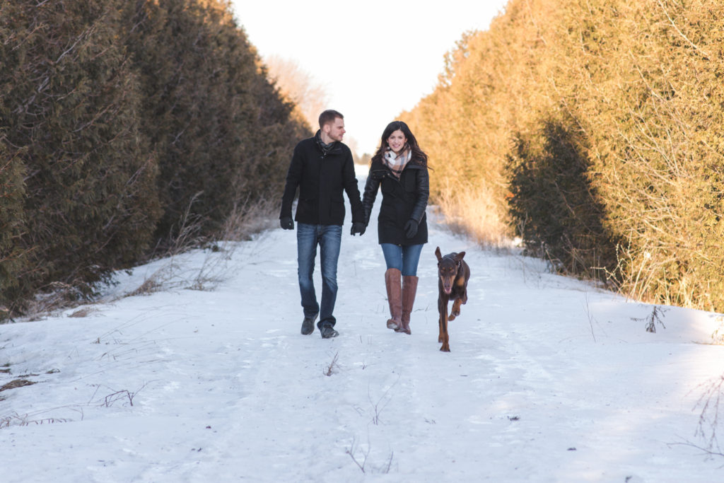 couple and their dog walking along a snowy trail surrounded by cedar hedges