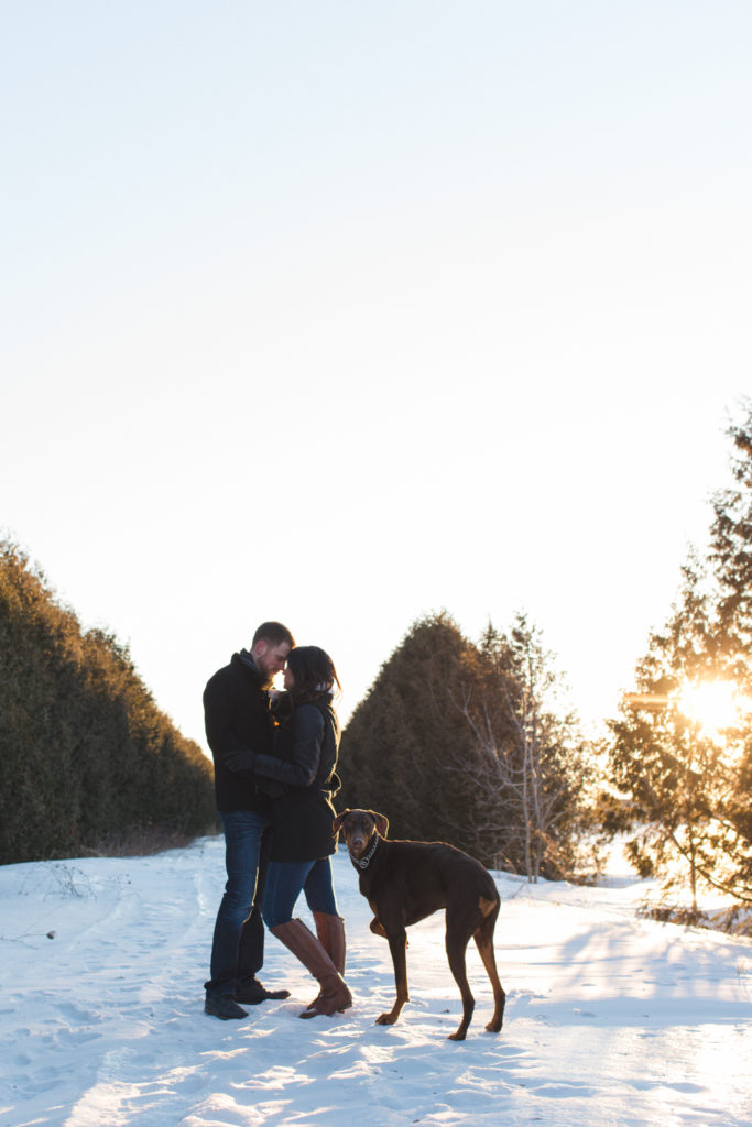 couple and their dog at sunset along a snowy path