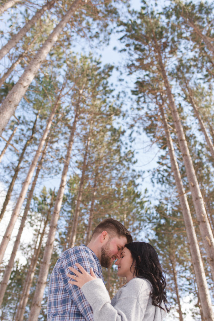 Engaged couple cuddling on in the forrest with tall trees and blue skies