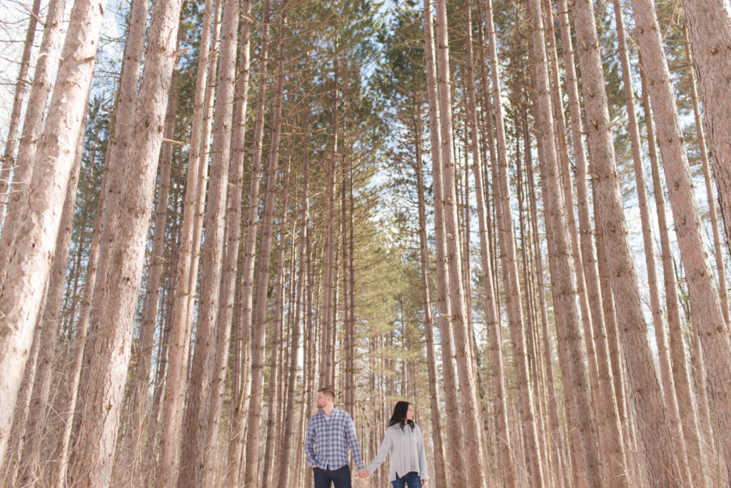 engaged couple holding hands looking in opposite directions in the forrest