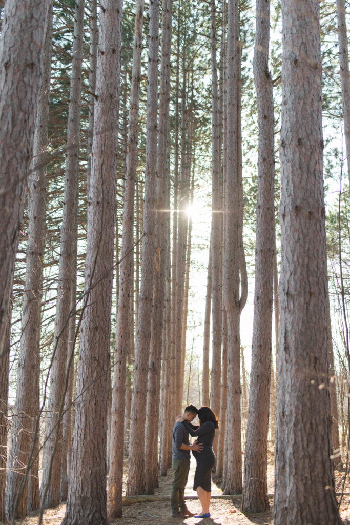 expecting parents standing among tall trees at sunset