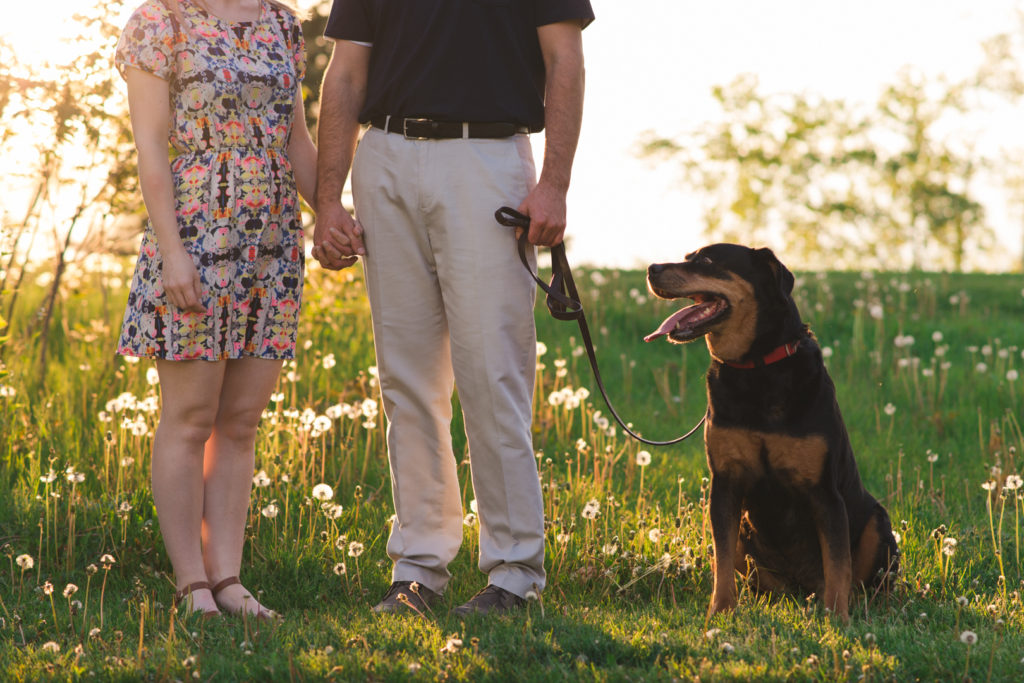 Couple holding hands with dog sitting next to them at sunset