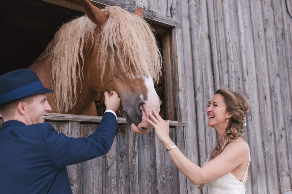 bride and groom petting horse in a barn