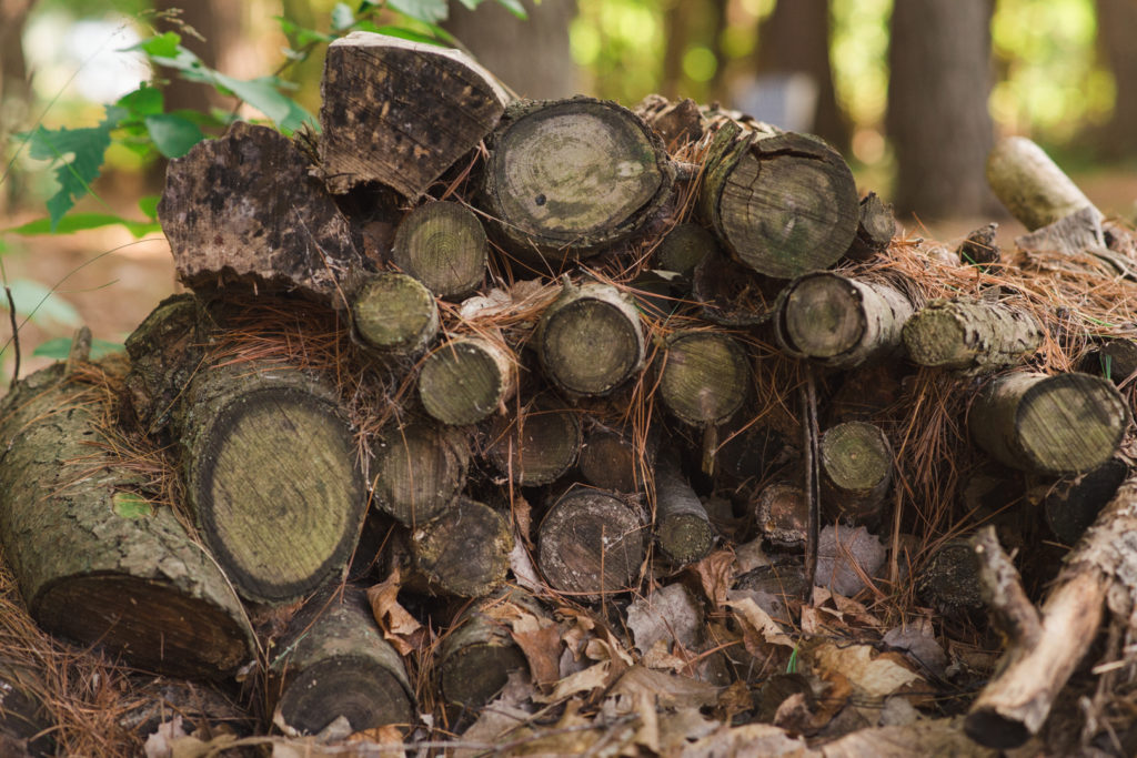 stack of wooden logs