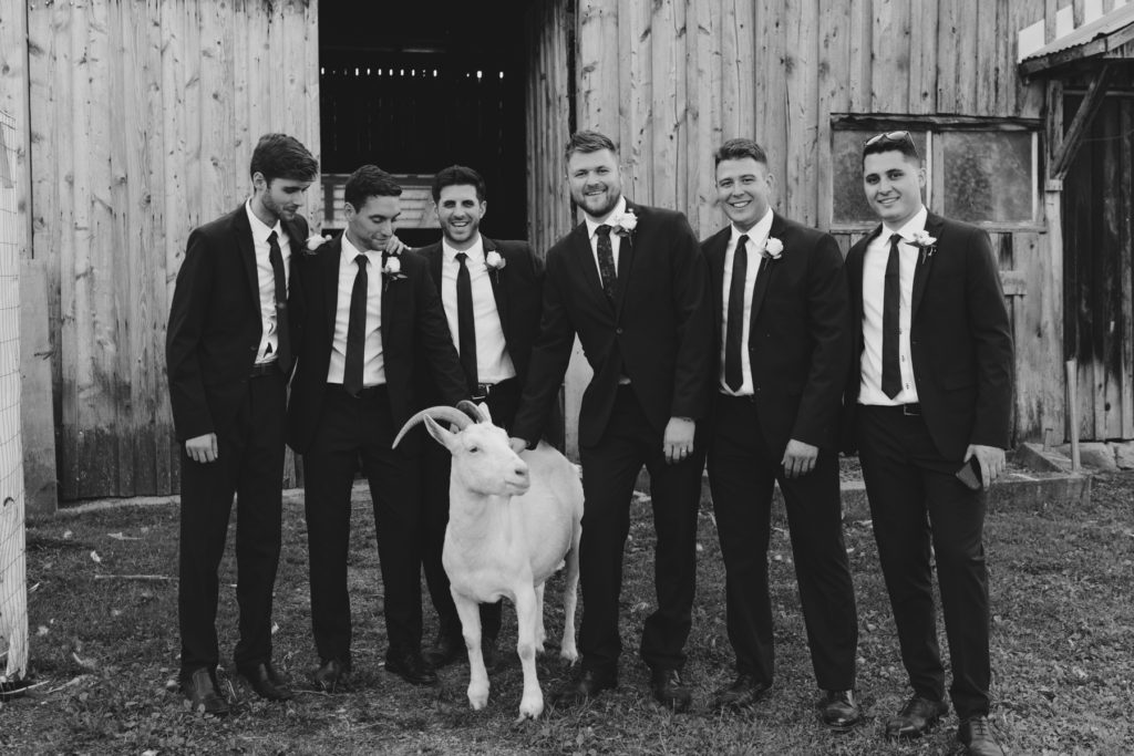 groom and groomsmen with goat