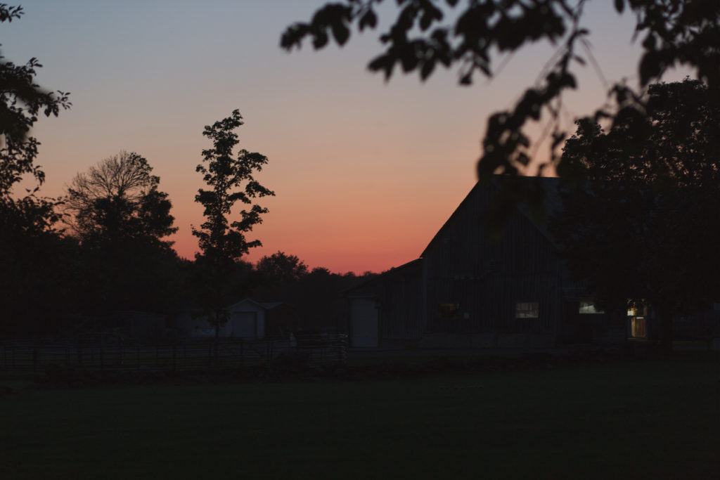 sunset sky at stanleys maple lane farm