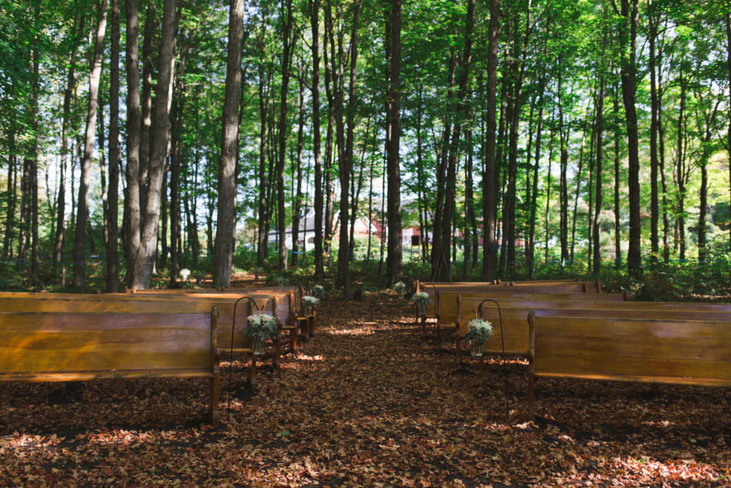 church pews in forest