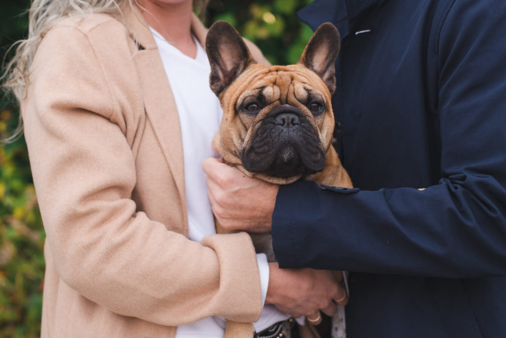 couple holding their french bulldog