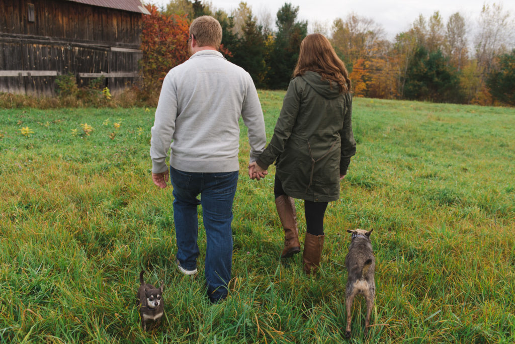 engaged couple walking towards old barn with their dogs