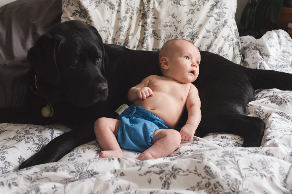 baby boy snuggling with black lab dog on the bed