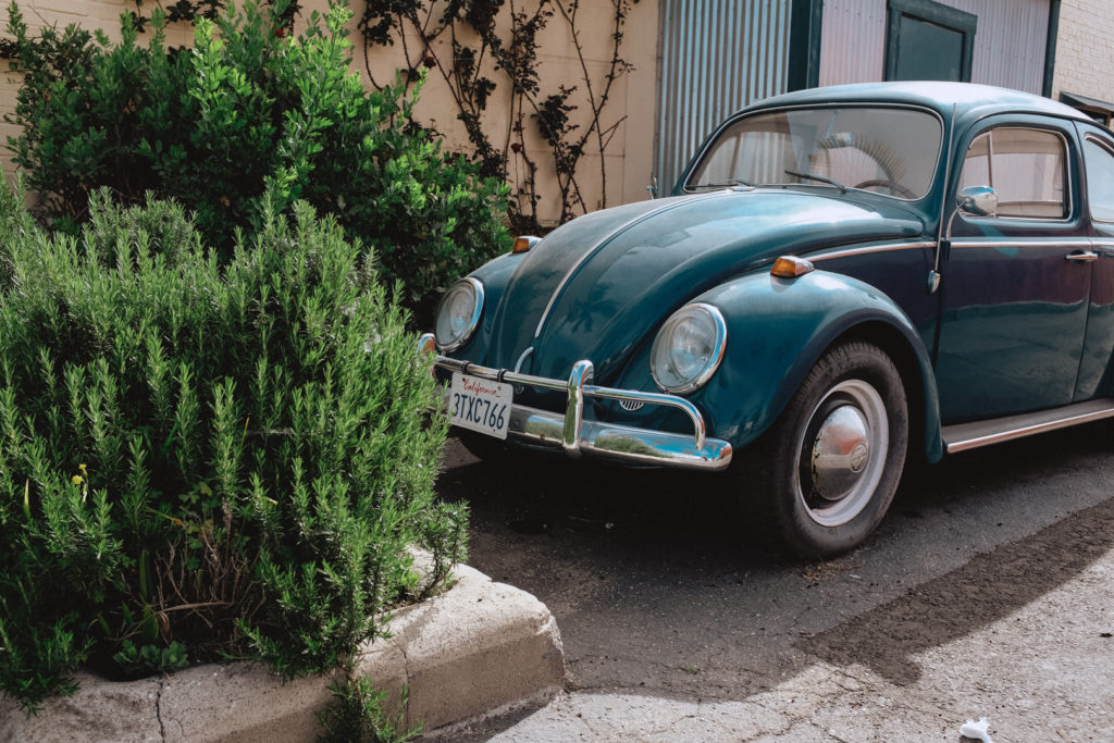 old volkswagon beetle parked among green bushes