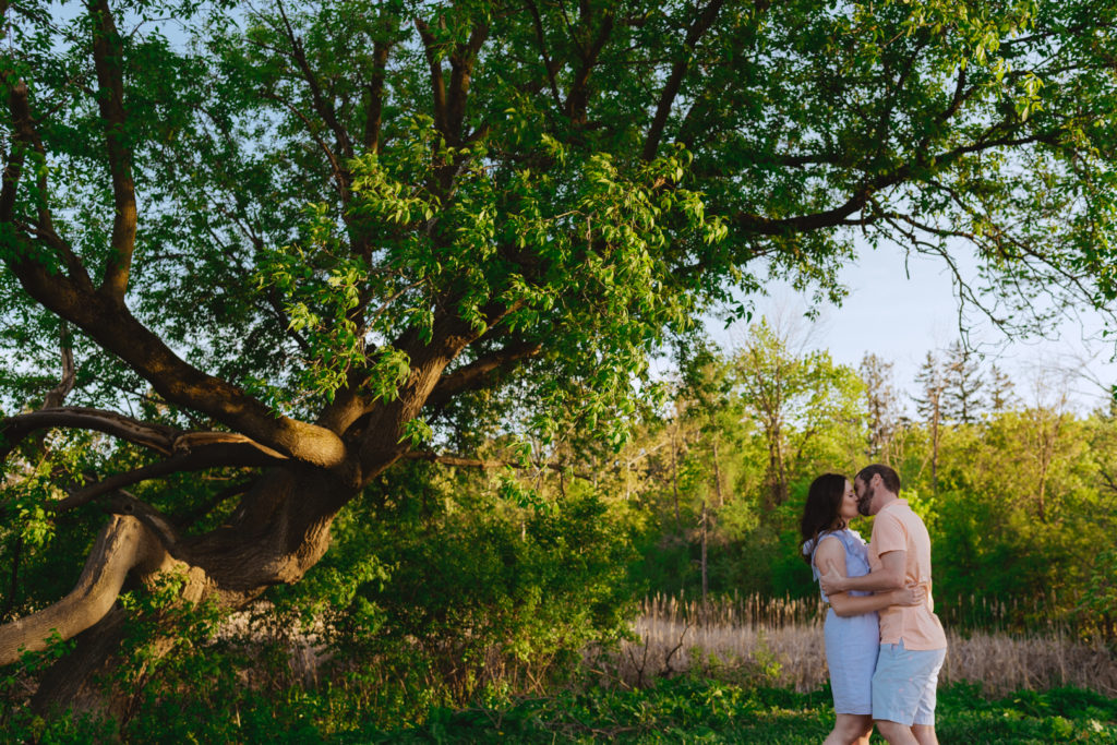 engaged couple kissing underneath big green tree at sunset