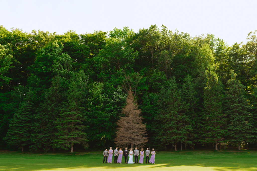 wedding party standing in front of one dead tree