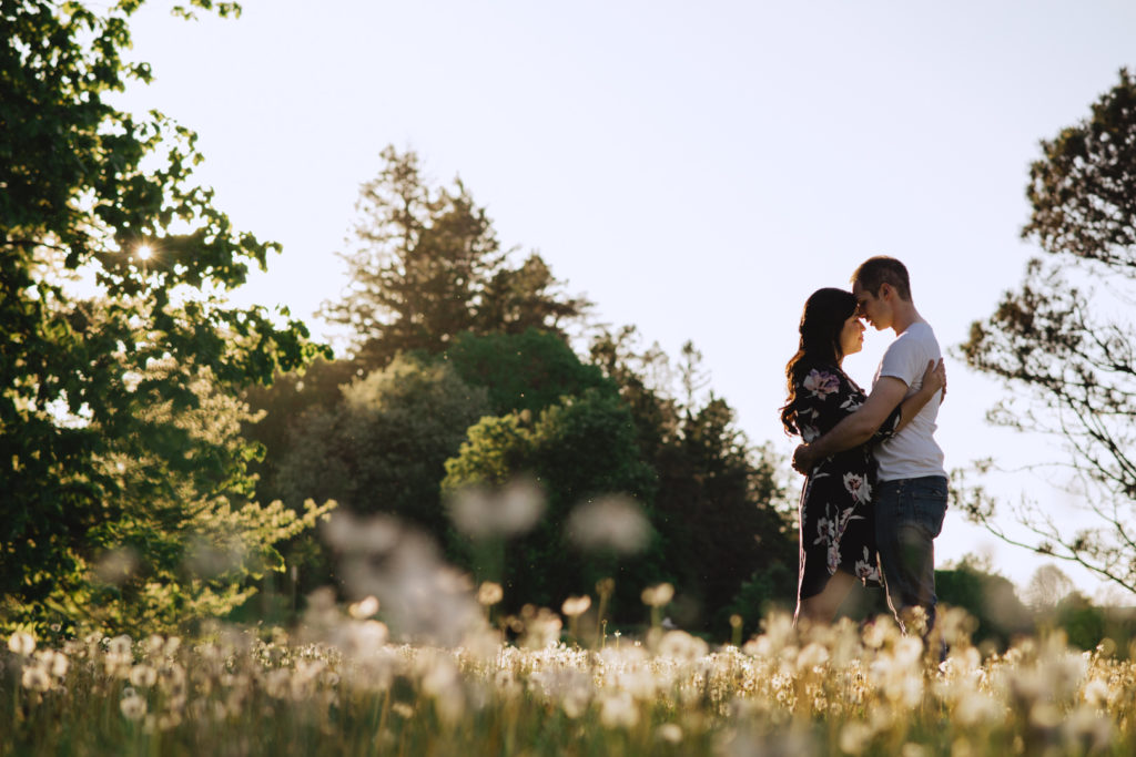 engaged couple cuddling close in field of dandelions