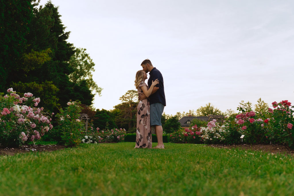 man kissing his fiancee's forehead among the rose bushes