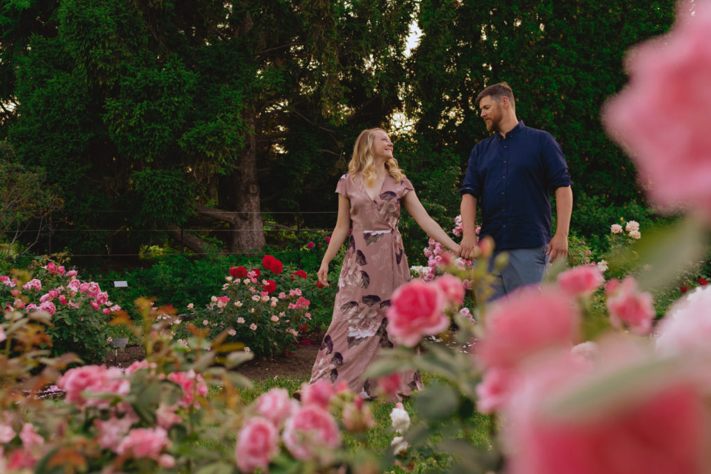 engaged couple holding hands walking through the rose garden