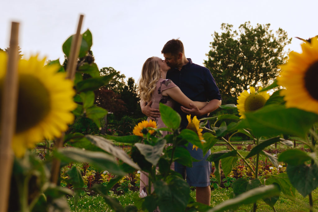 engaged couple kissing in a field of sunflowers