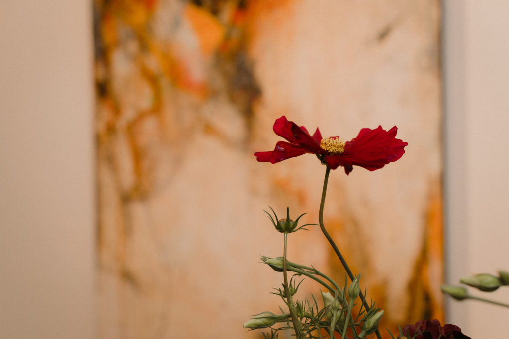 single red flower with art in the background