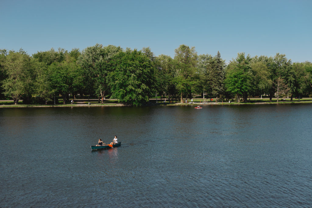 couple canoeing in dows lake on a sunny day