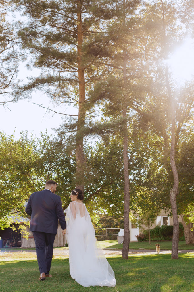 bride and groom holding hands walking towards tall pine trees