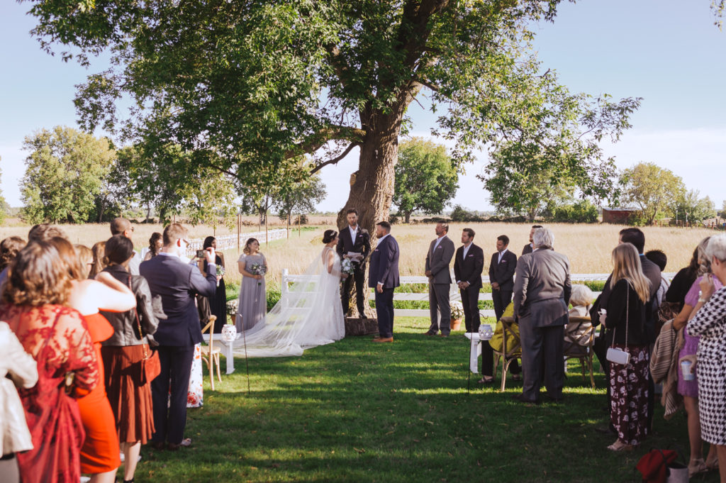 outdoor wedding underneath a maple tree overlooking a field