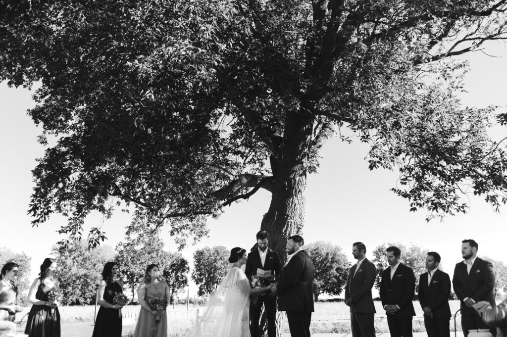 bride and groom standing underneath big maple tree at backyard wedding in Ottawa