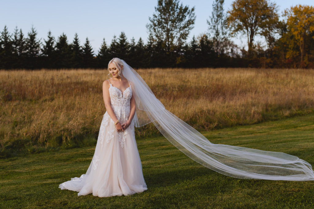 bride wearing cathedral veil in a field at sunset