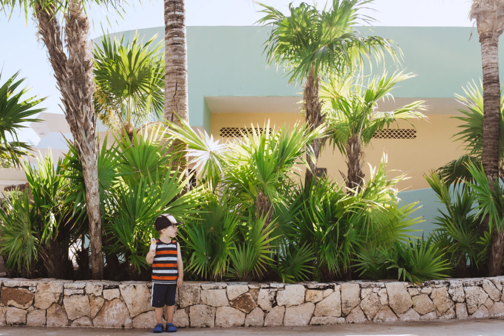 toddler eating an ice cream cone in front of palm trees