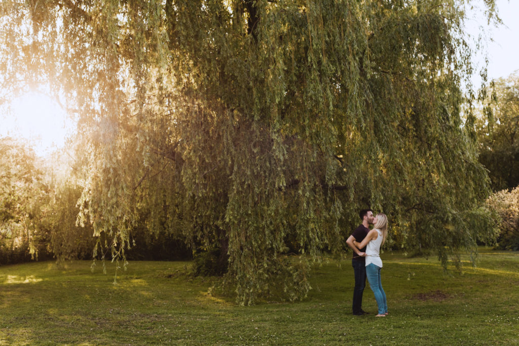engaged couple kissing underneath a willow tree at sunset