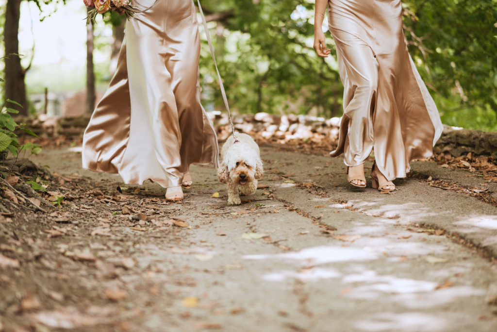 bridesmaids walking dog up path