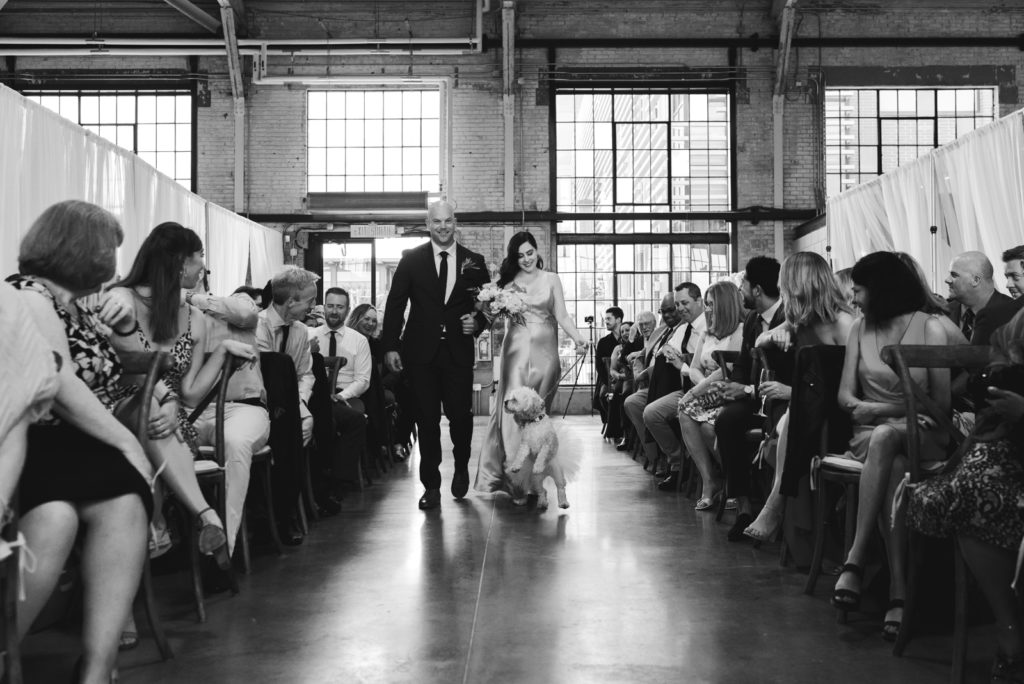 groomsmen and bridesmaid walking dog down the aisle