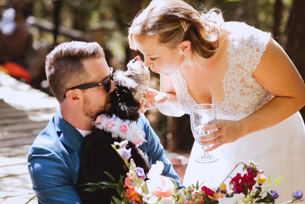 bride and groom with their dog