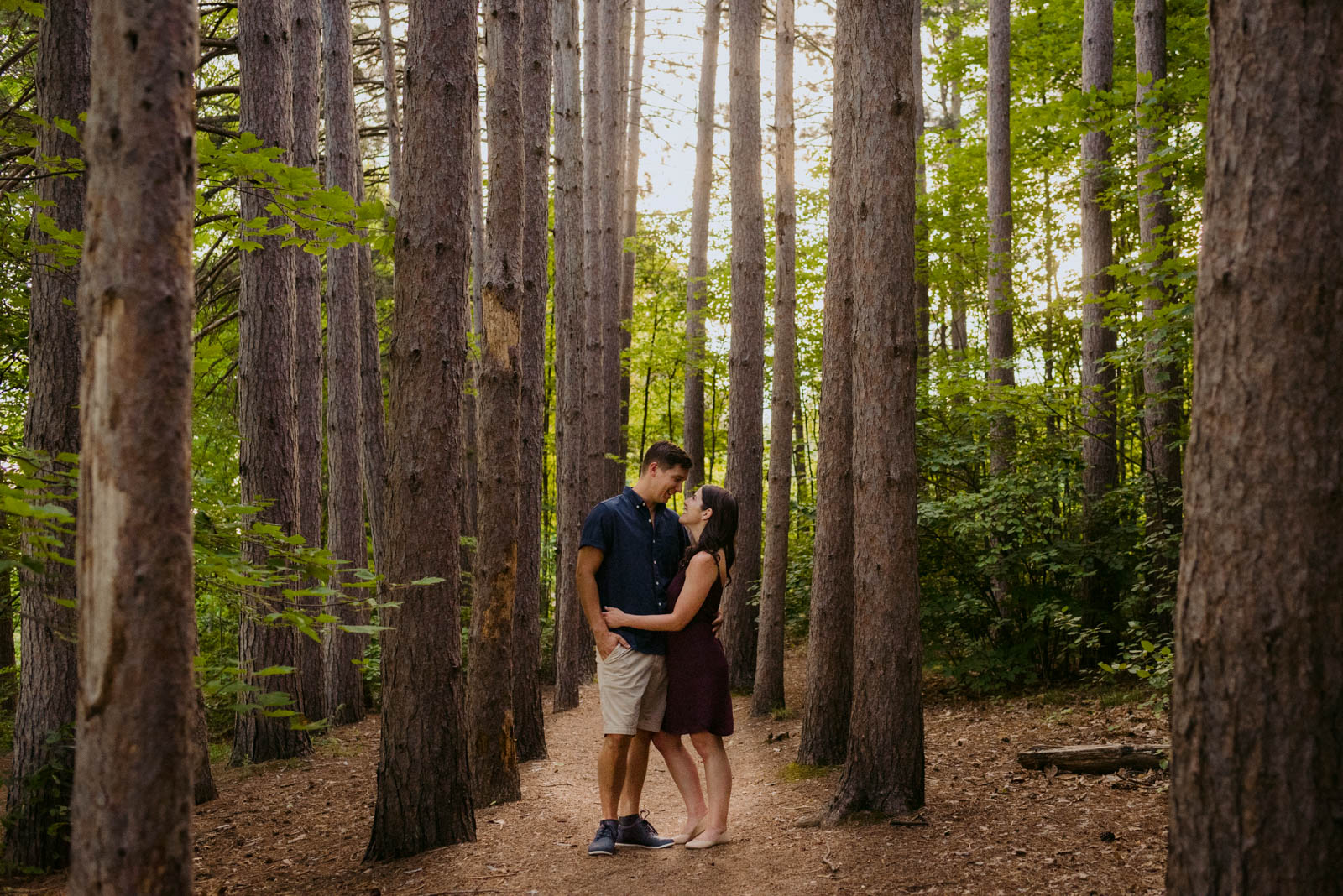 engaged couple in a forest at sunset