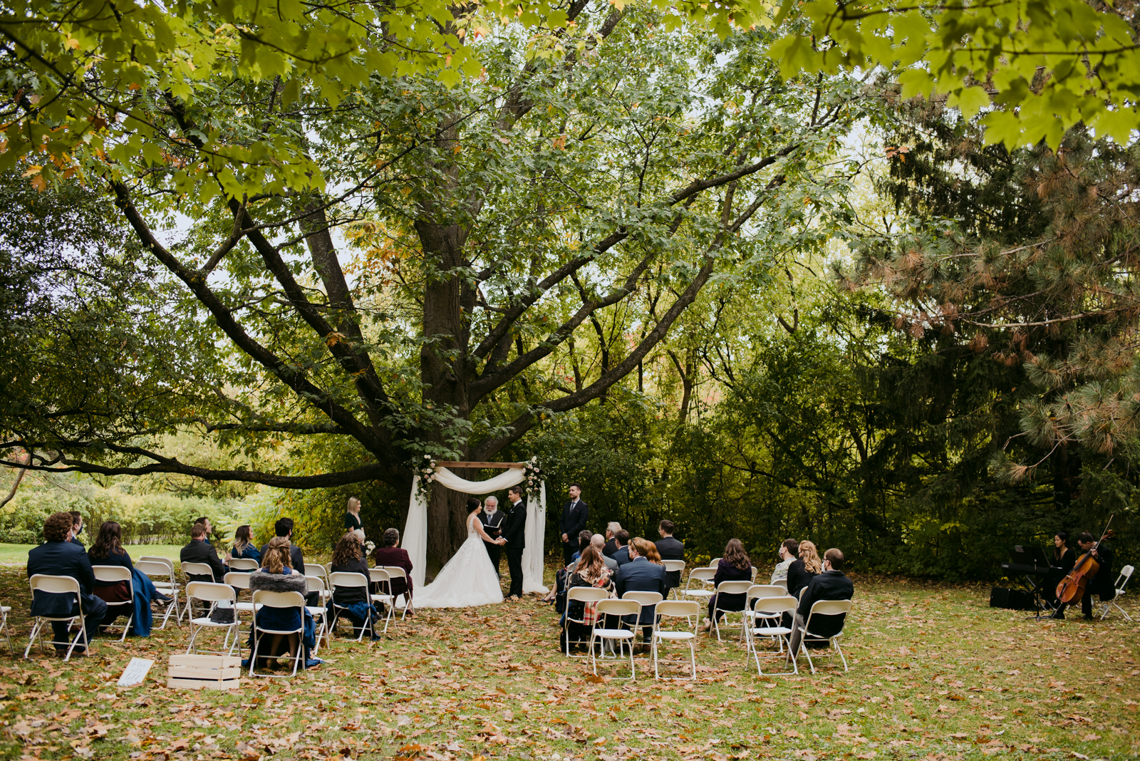 outdoor wedding ceremony at billings estate museum