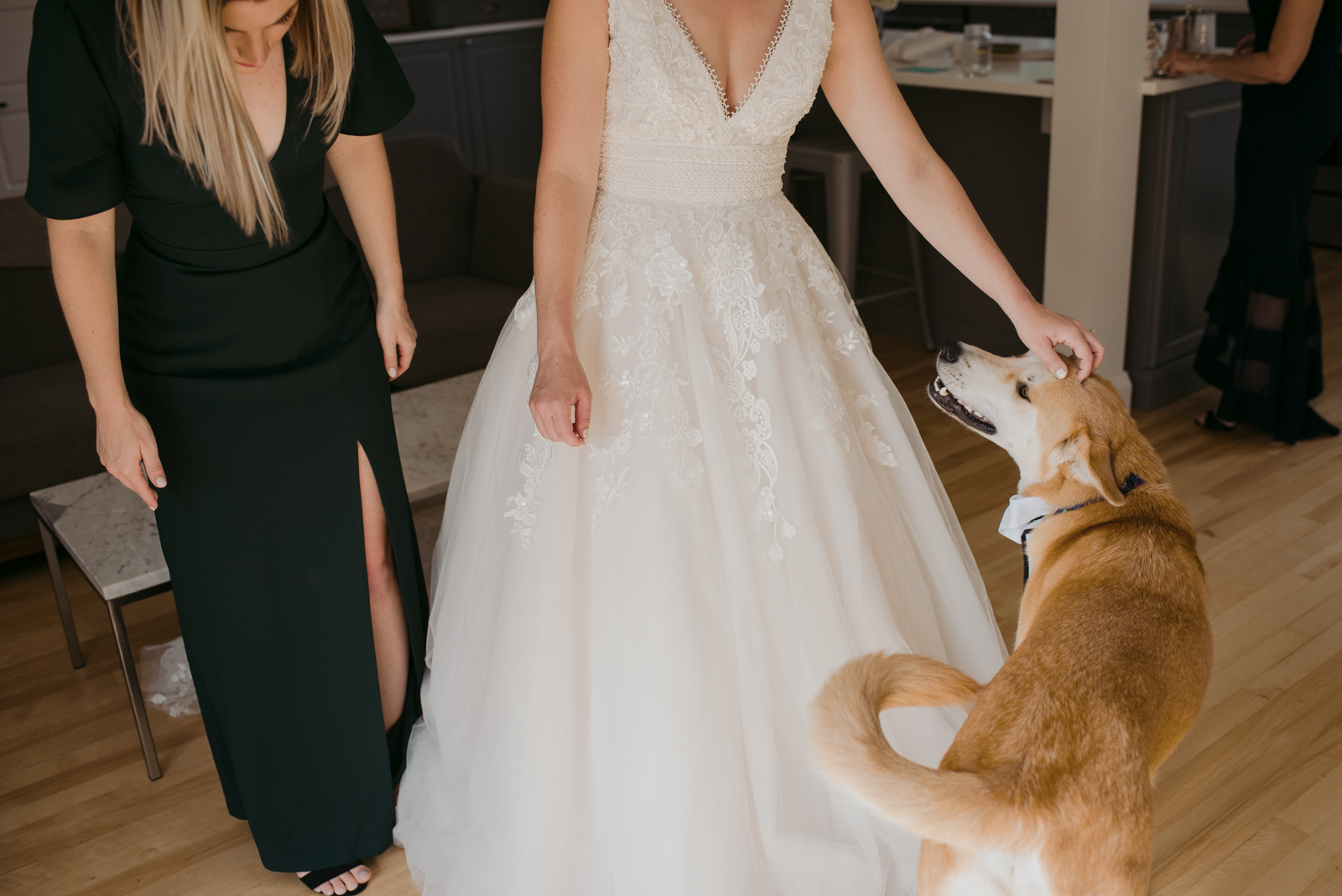 bride petting her dog before leaving for the ceremony