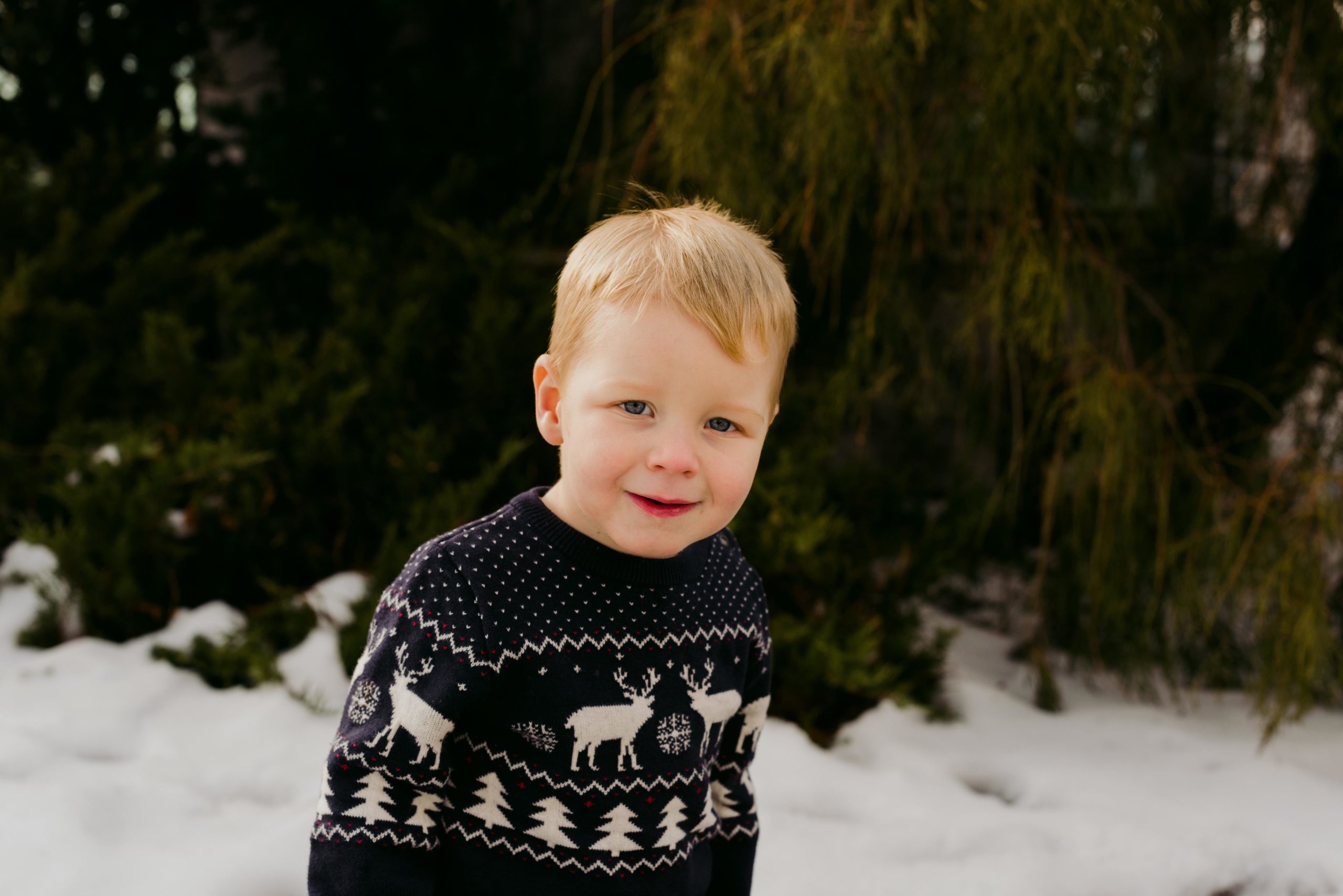 little boy standing in the snow with a christmas sweater on