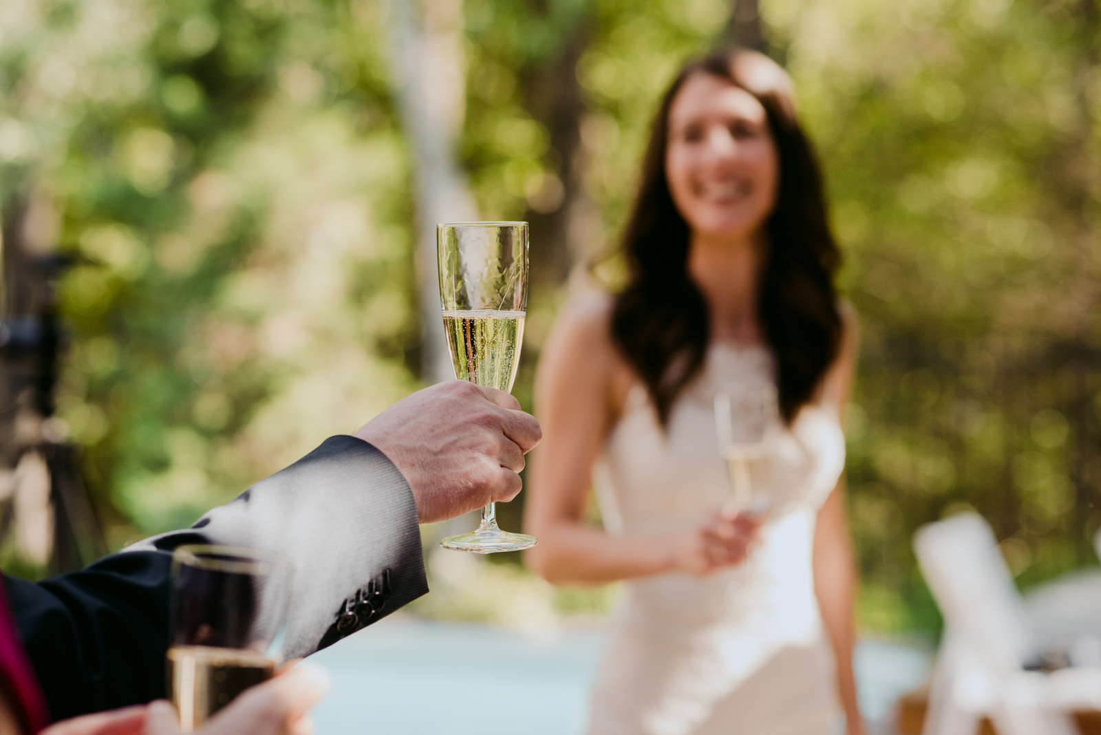 bride and groom champagne toast after backyard wedding ceremony