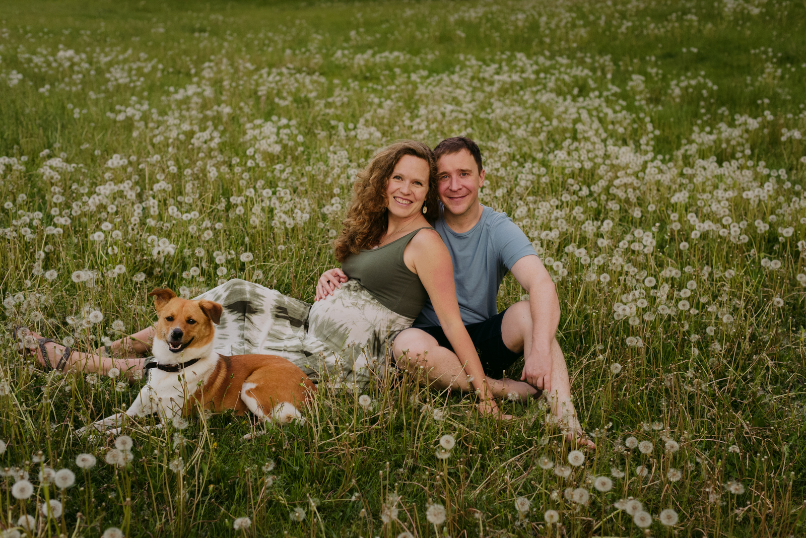 expecting parents sitting in a field of dandelions with their dog