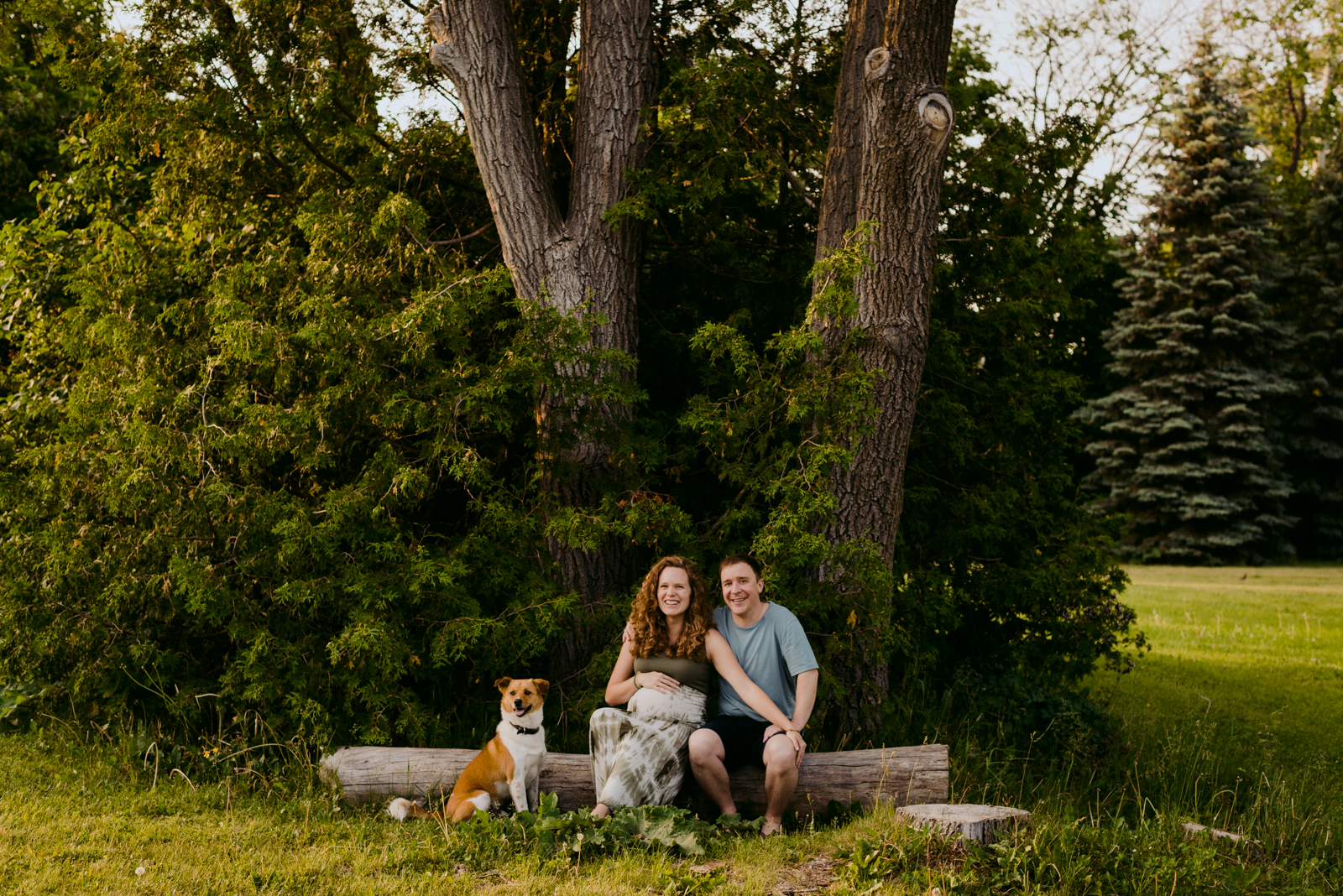 expecting parents and their dog sitting on a log at sunset